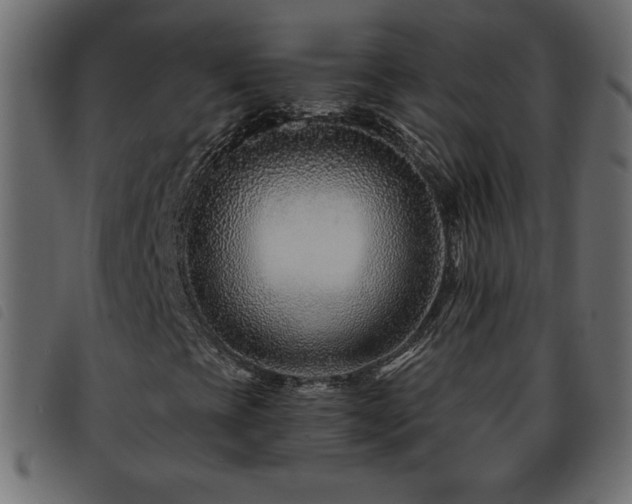 X0000093581393200710151136
