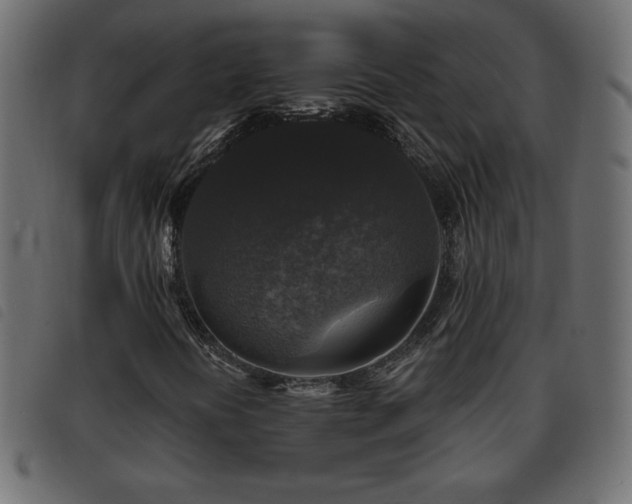 X0000093581394200710151136