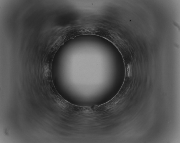 X0000093581395200710151136