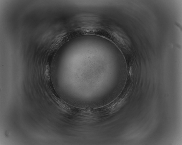 X0000093581396200710151136