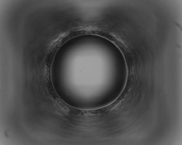 X0000093581398200710151136