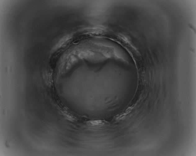 X0000093581399200710151136