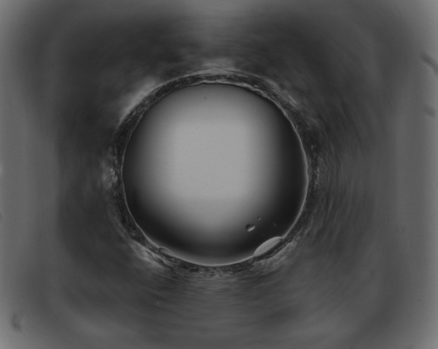 X0000093581400200710151136