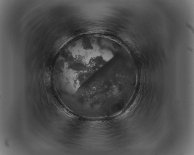 X0000093581401200710151136