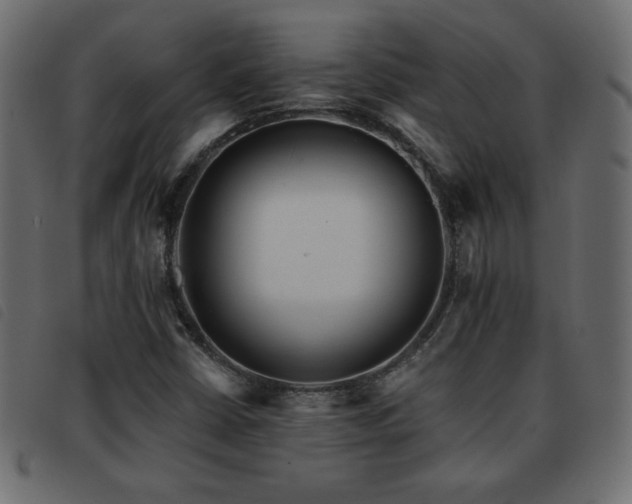 X0000093581402200710151136
