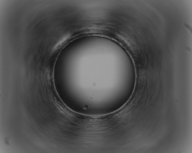 X0000093581403200710151136