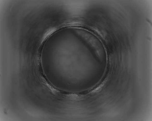X0000093581405200710151136