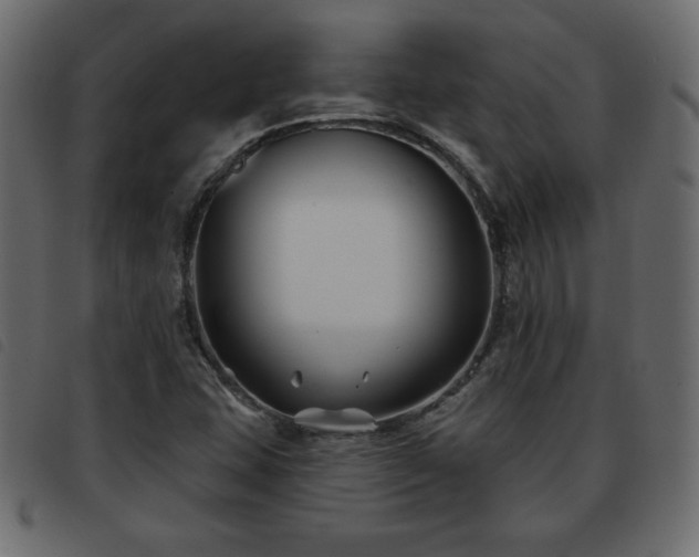 X0000093581407200710151136