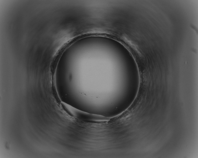 X0000093581408200710151136