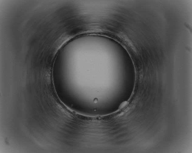 X0000093581409200710151136