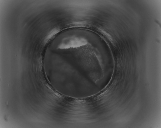 X0000093581411200710151136