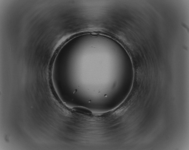 X0000093581412200710151136