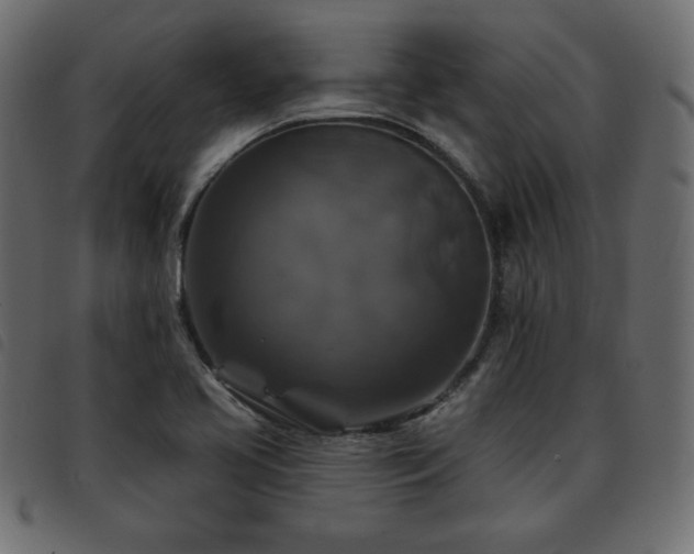 X0000093581413200710151136