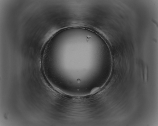 X0000093581415200710151136