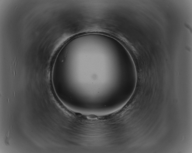 X0000093581416200710151136