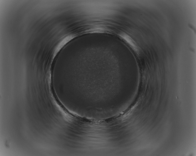 X0000093581418200710151136