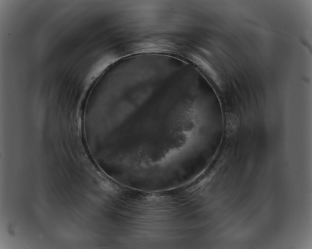 X0000093581419200710151136