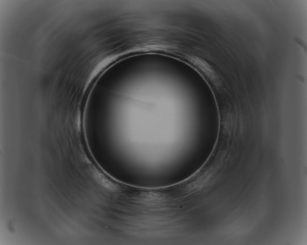 X0000093581420200710151136