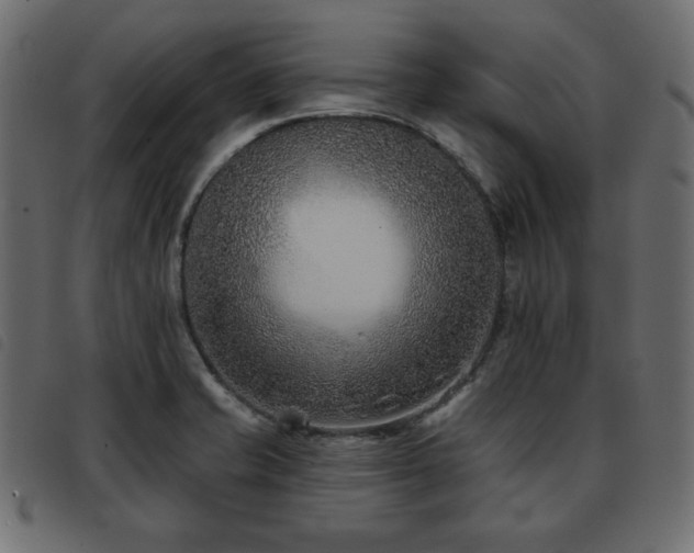 X0000093581421200710151136