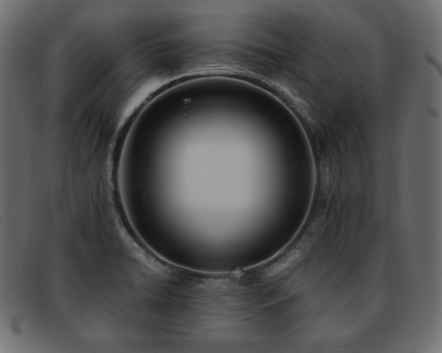 X0000093581422200710151136