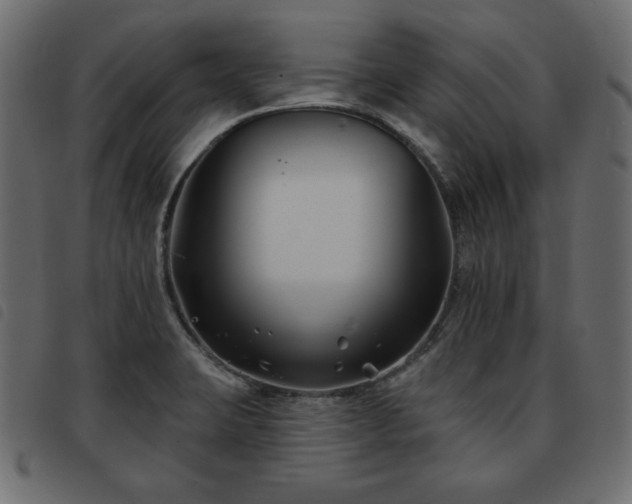 X0000093581423200710151136