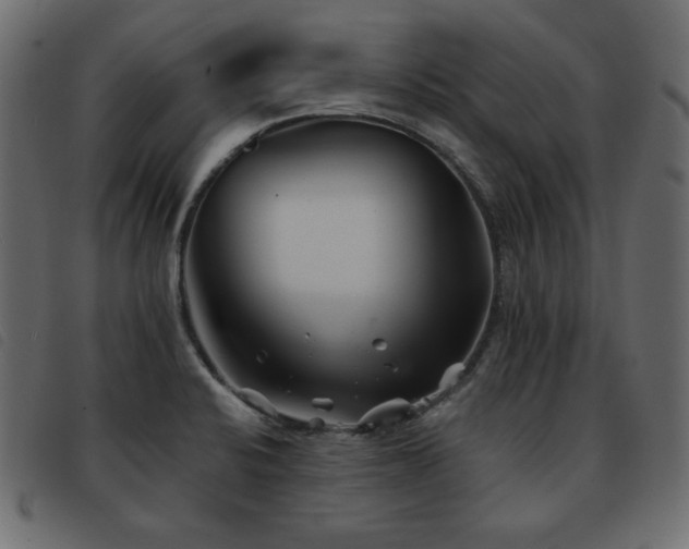 X0000093581424200710151136