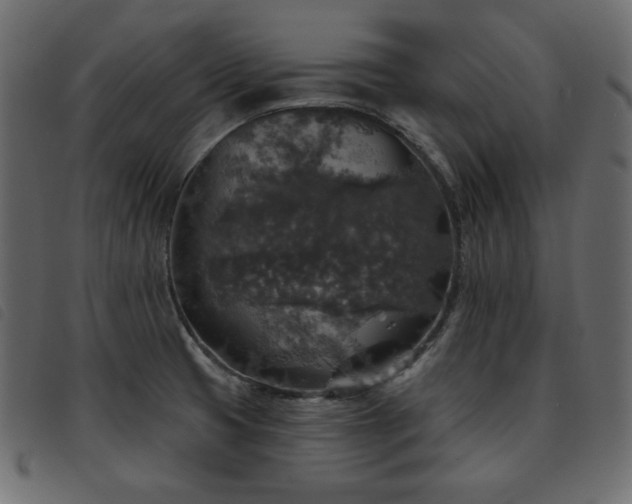 X0000093581425200710151136