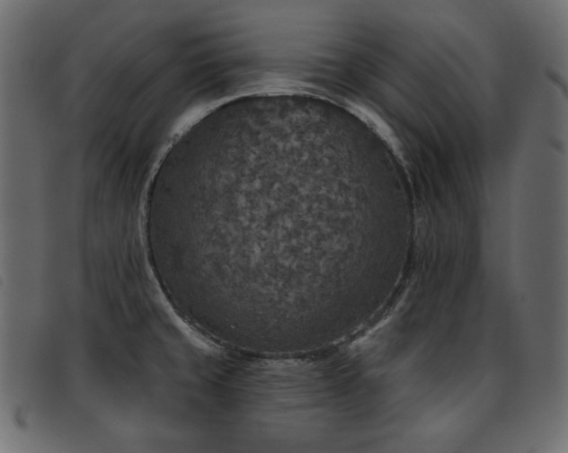 X0000093581429200710151136