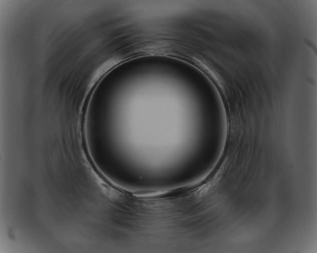 X0000093581434200710151136