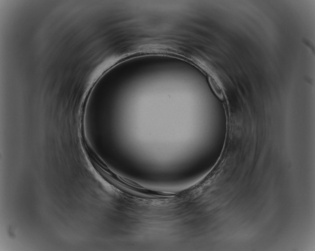 X0000093581437200710151136