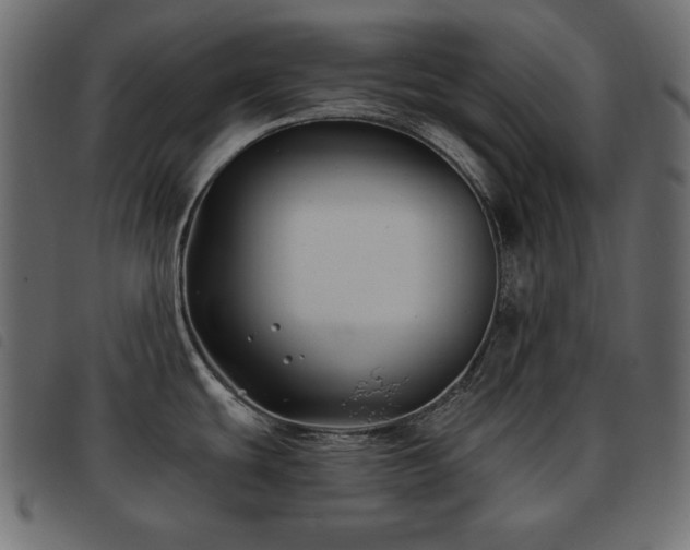 X0000093581439200710151136