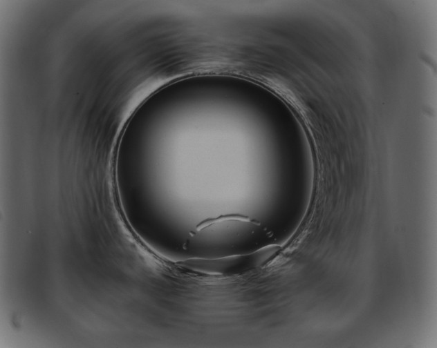 X0000093581440200710151136