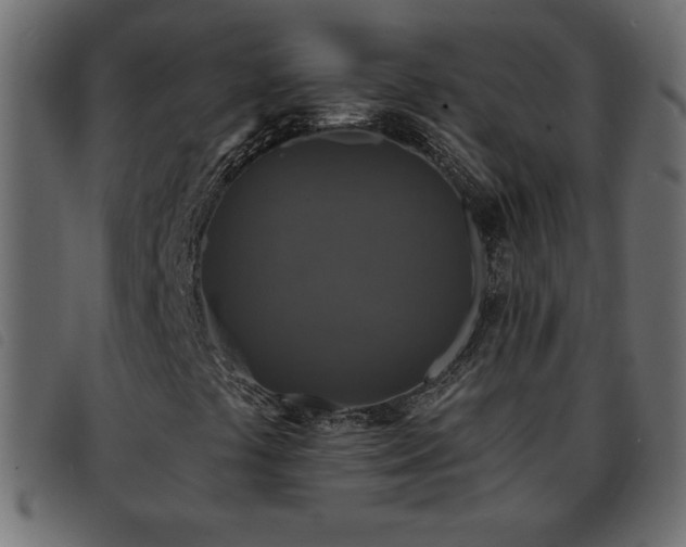 X0000093581441200710151136