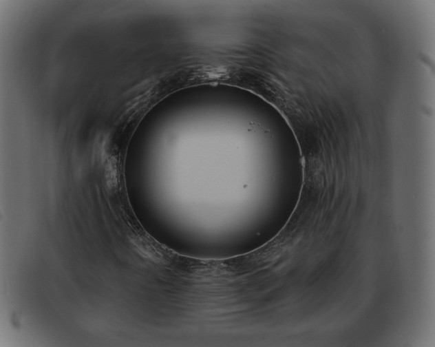 X0000093581442200710151136
