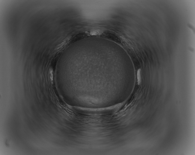 X0000093581443200710151136