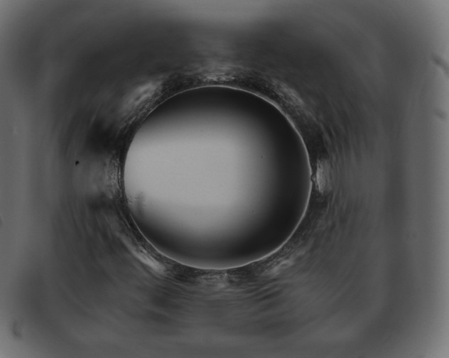 X0000093581444200710151136