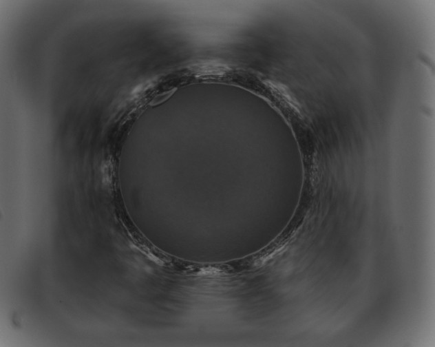 X0000093581445200710151136