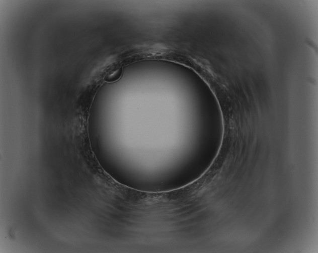 X0000093581447200710151136
