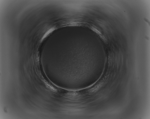 X0000093581450200710151136