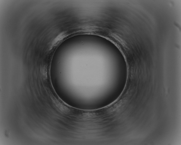 X0000093581451200710151136
