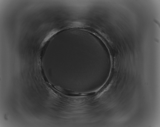 X0000093581453200710151136