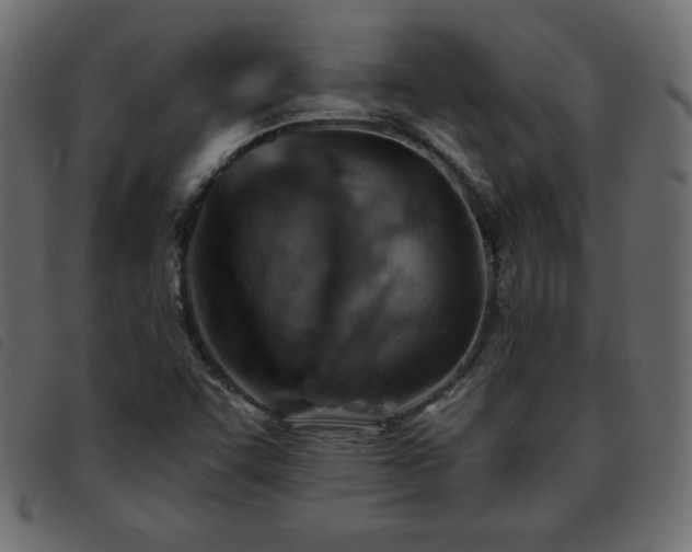 X0000093581455200710151136