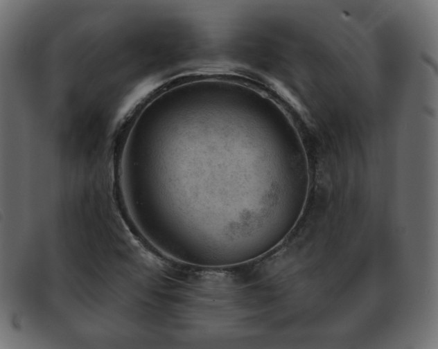 X0000093581456200710151136