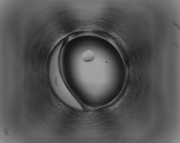 X0000093581457200710151136