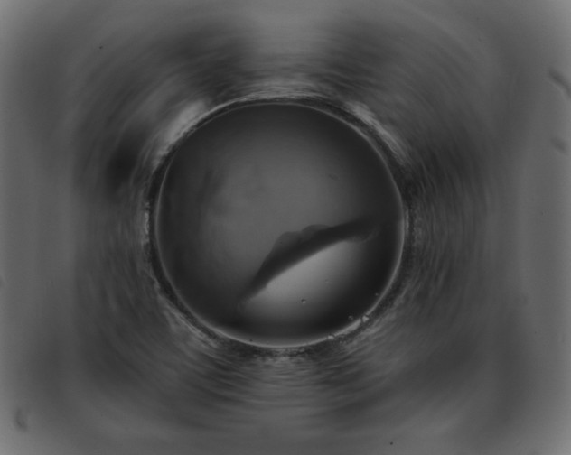 X0000093581459200710151136