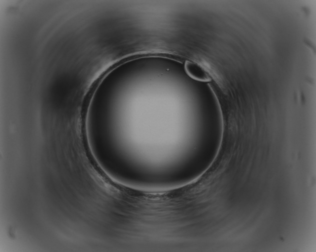 X0000093581460200710151136