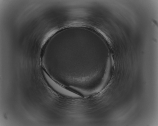 X0000093581461200710151136