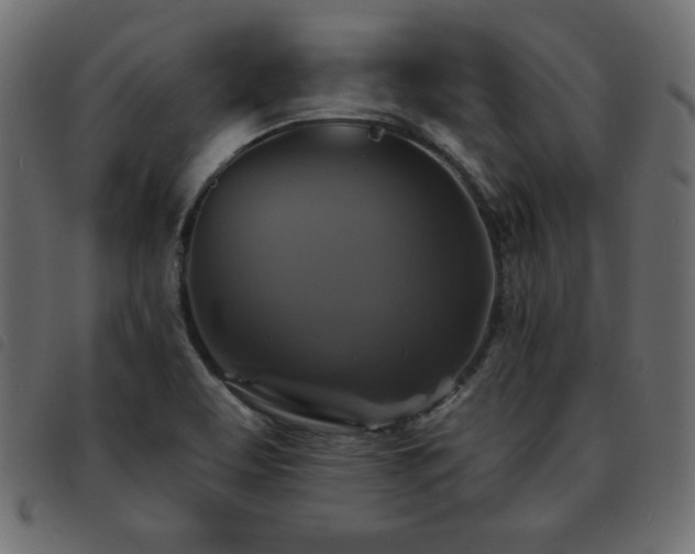 X0000093581463200710151136