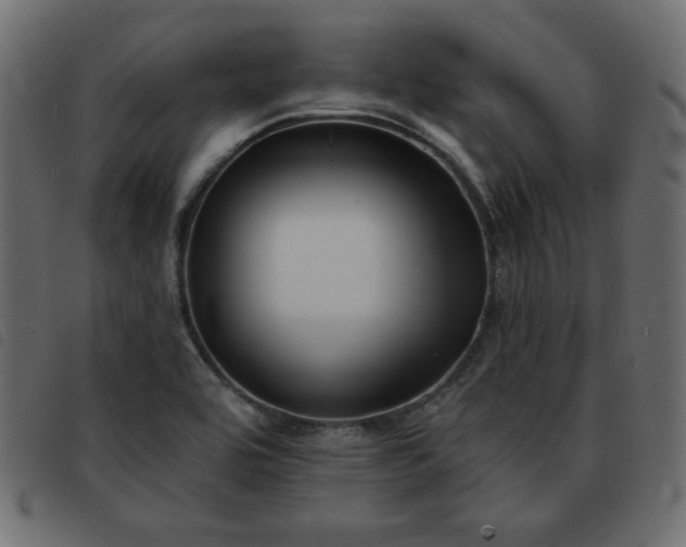 X0000093581464200710151136