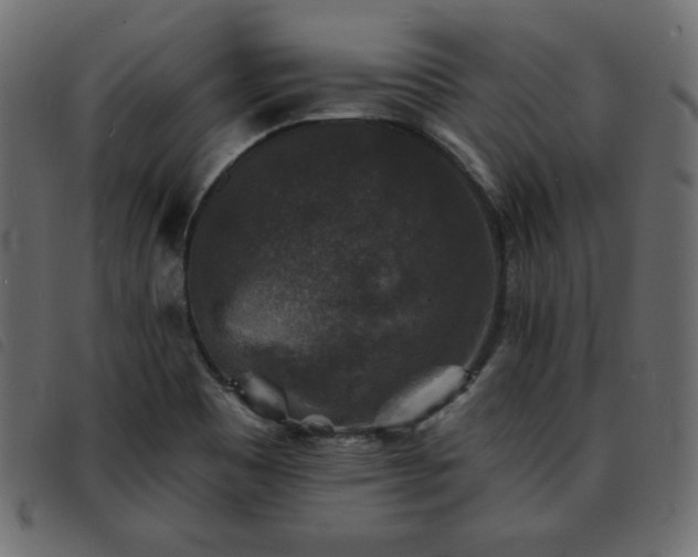 X0000093581465200710151136